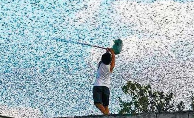 b3404be4ce8e34f9427382fa15263dea_XL