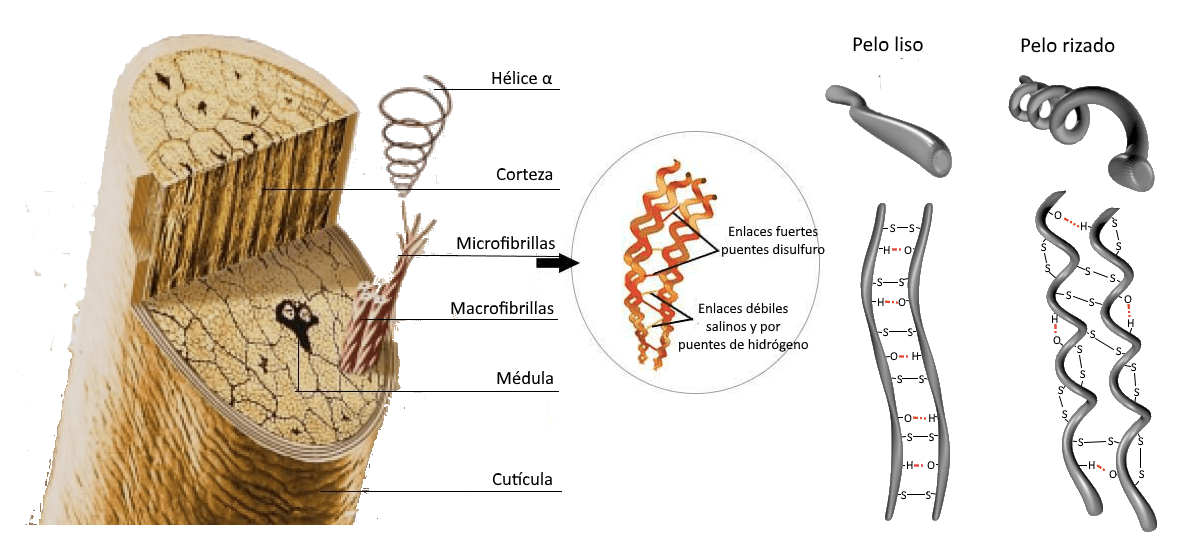 Captura de pantalla 2016-09-01 a la(s) 18.32.16