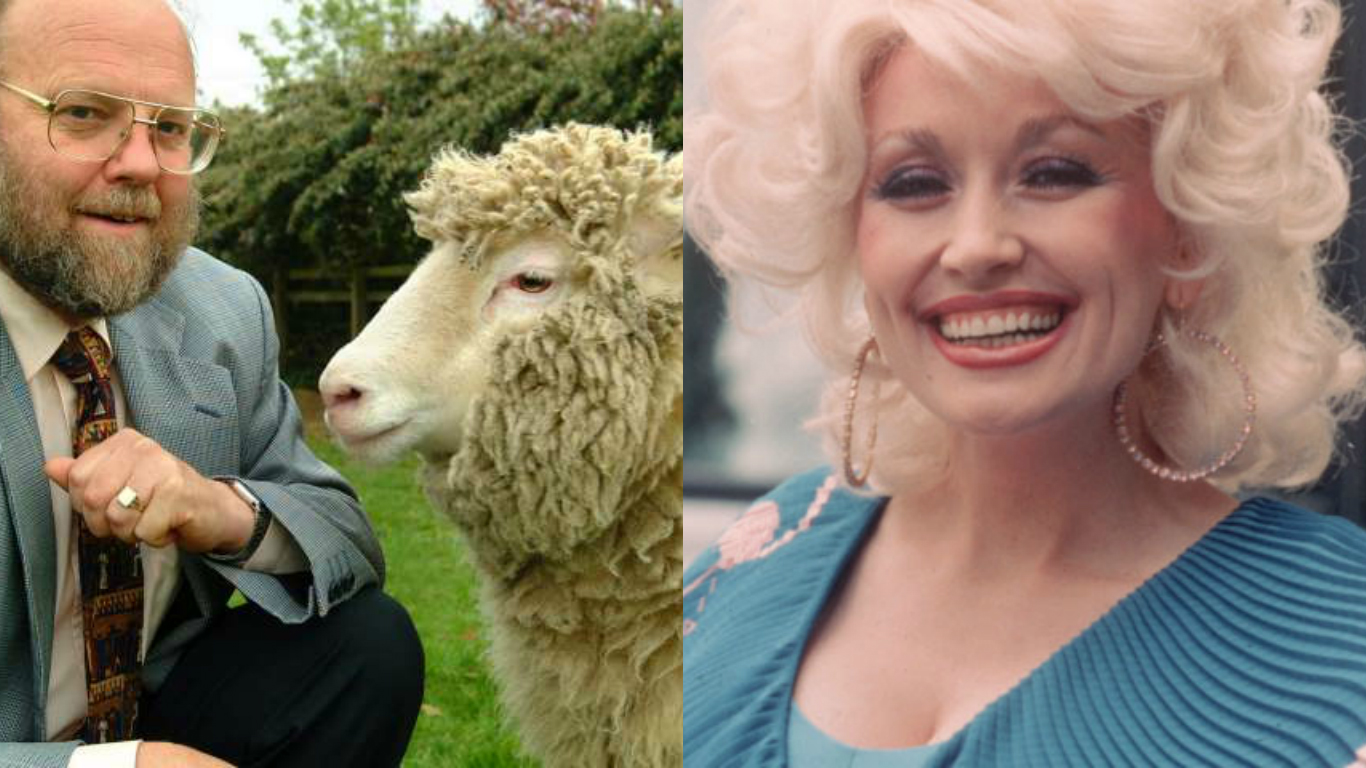 Dolly Sheep Parton.jpg