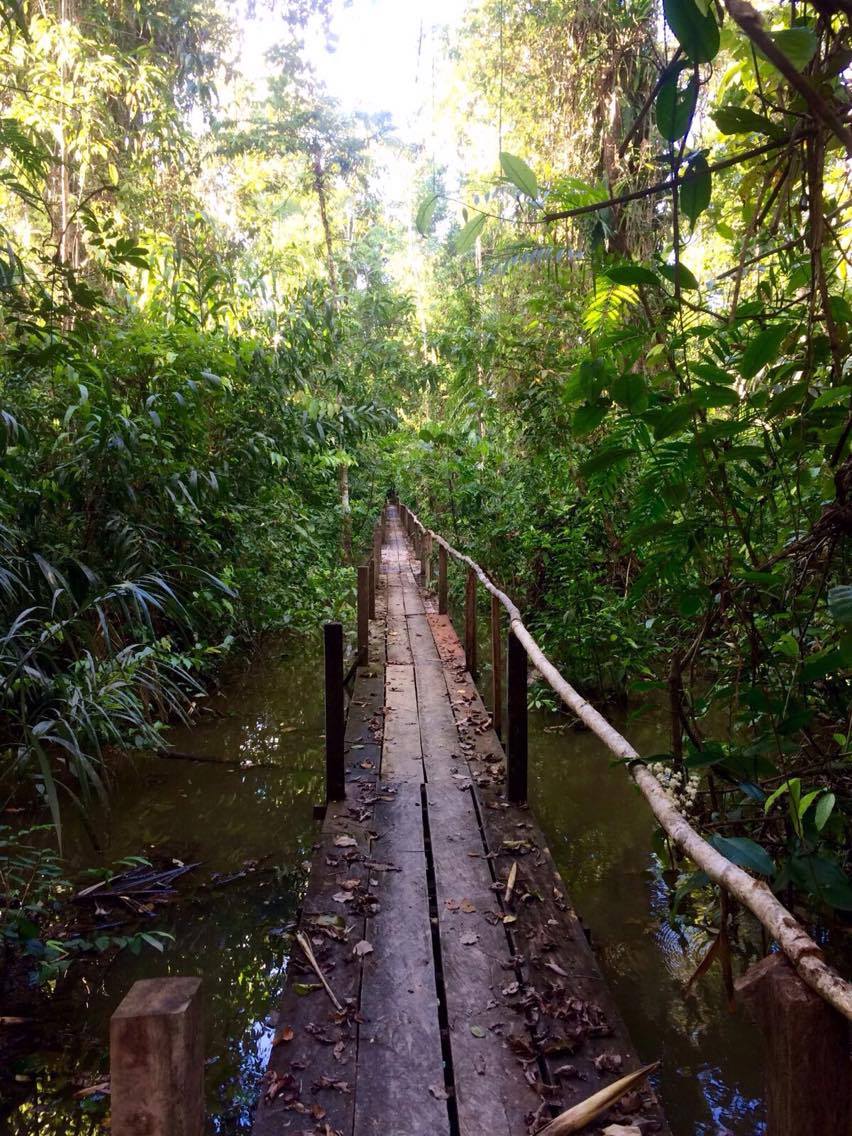 Hoy es el Día de la Fascinación por las&nbsp;Plantas