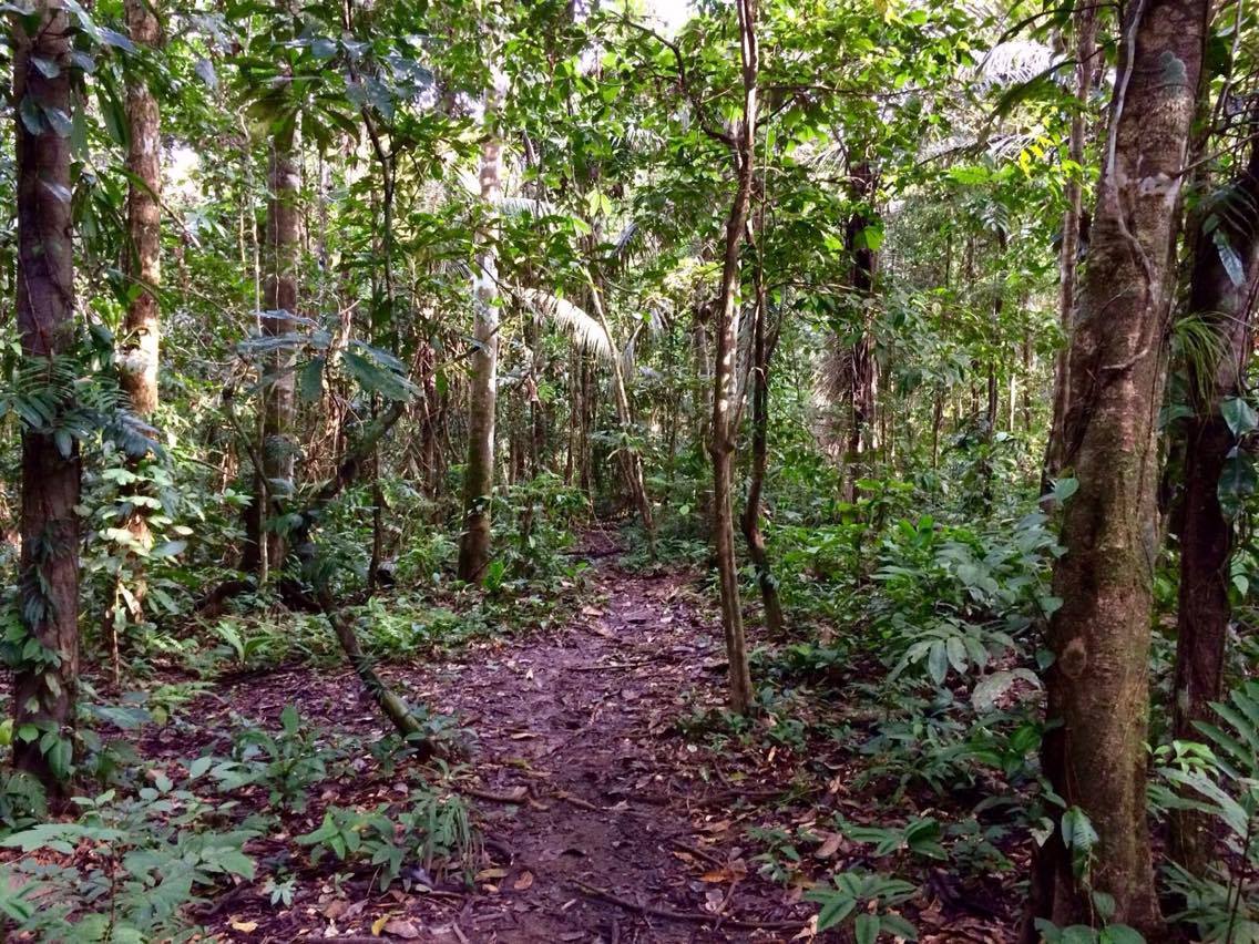 18553756_10211421088175620_860186711_o