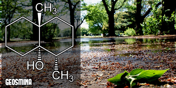 Blog_20170801_Redfm_TierraMojada2