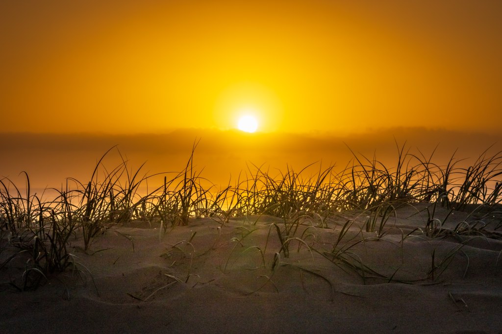 Especial SISTEMA SOLAR