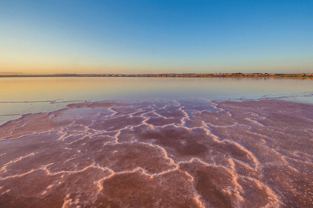 Salinas Torre Vieja