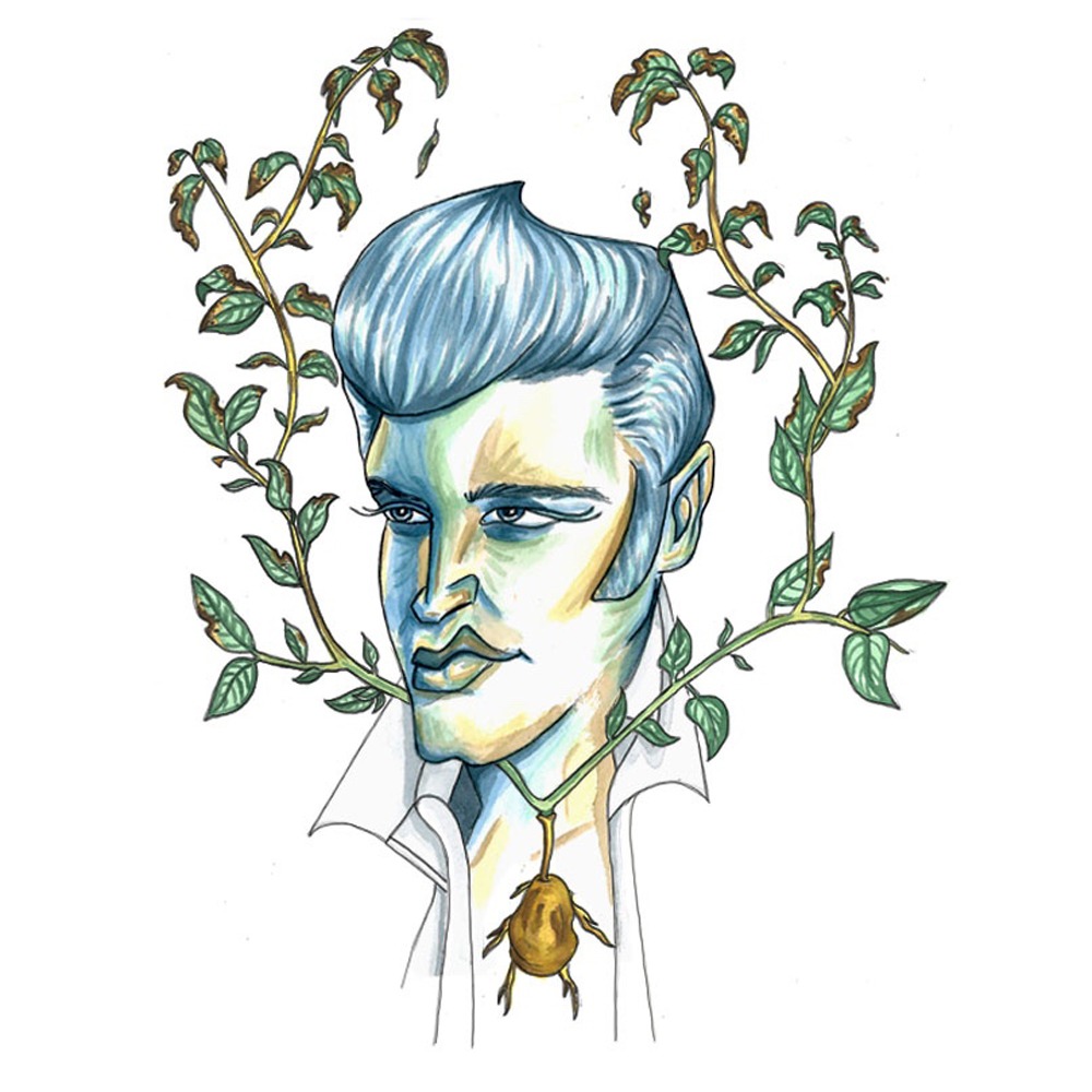 Principia Magazine: El destructor de plantas